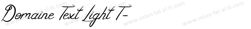Domaine Text Light T字体转换